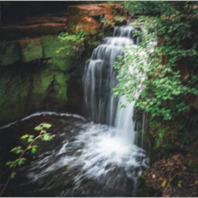 creative photo enhancement of Upscaling Nature & Landscapes Images before demo 1