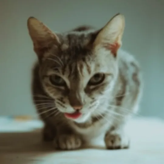 photo enhancement before example 6