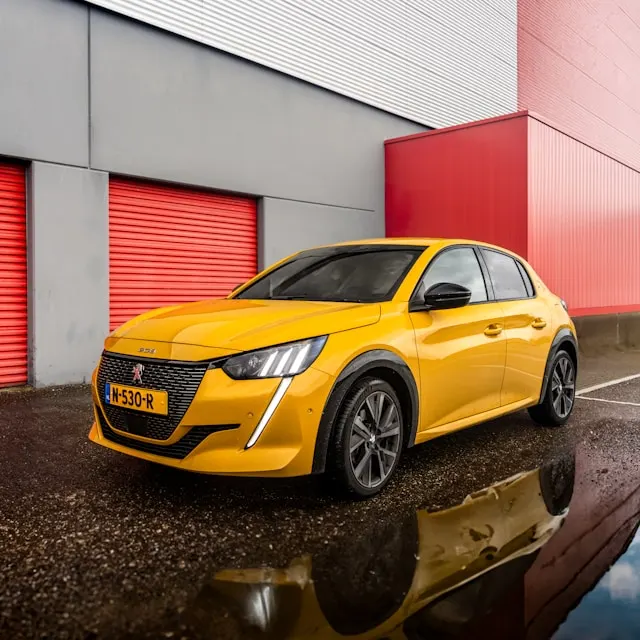 background removal before example 5