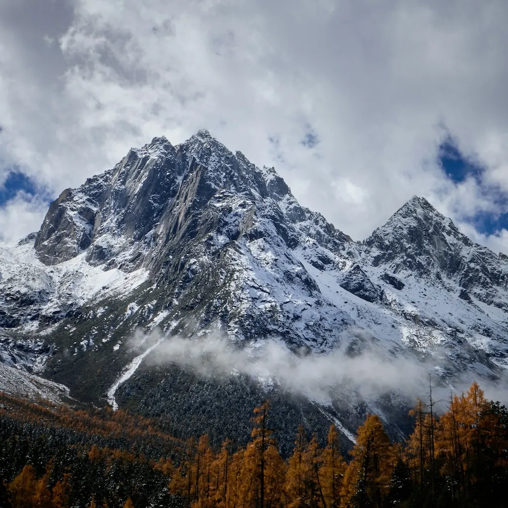 Original portrait before colored pencil sketch conversion