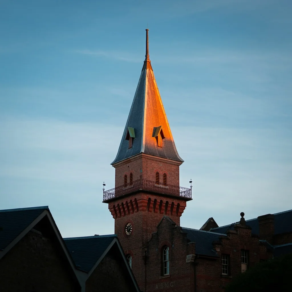 Original portrait before ballpoint pen sketch conversion